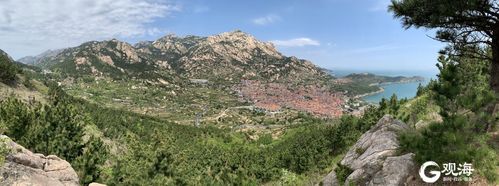 泰安 青山社区 规划