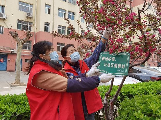 泰安 青山社区 规划