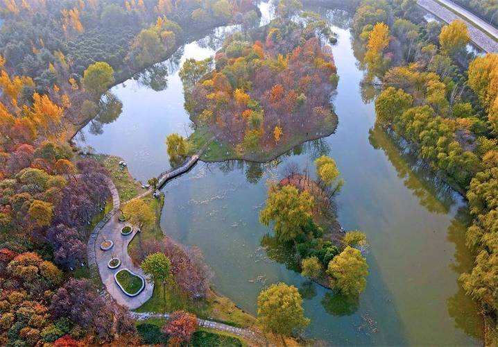 西安国际社区湿地公园