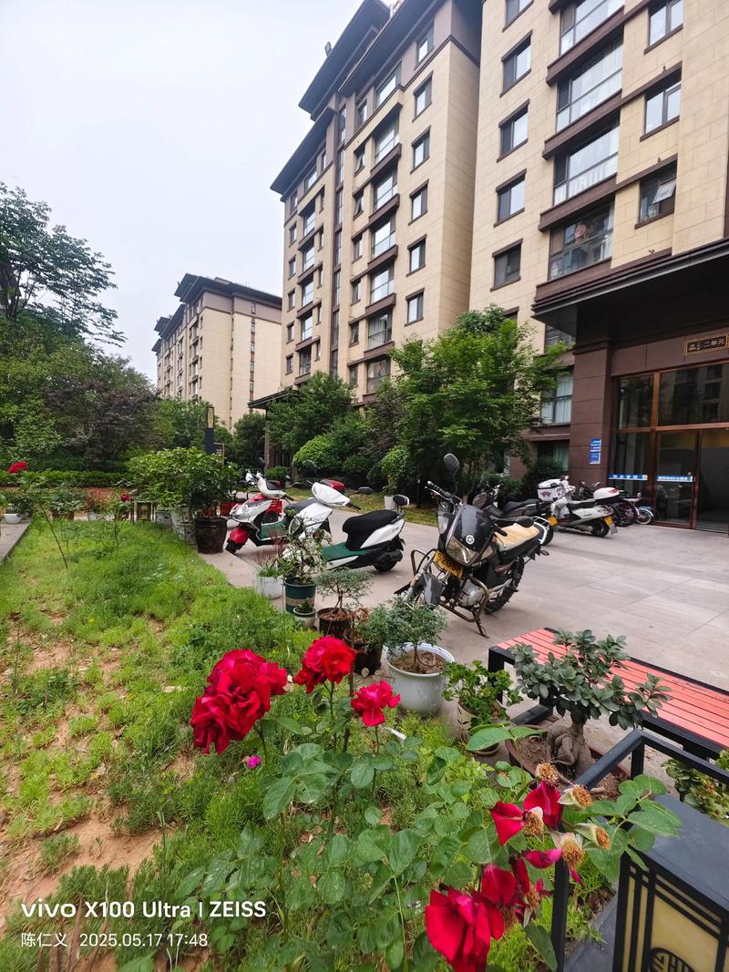 建业小区属于哪个社区