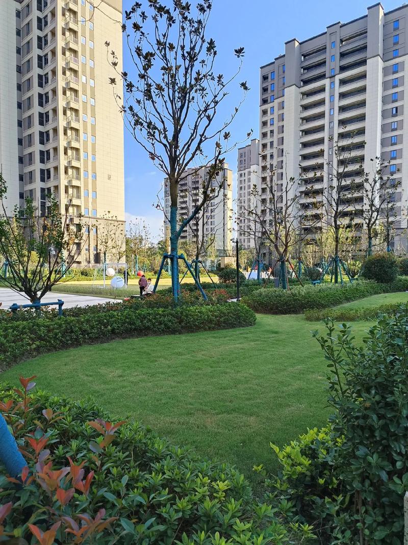 兰亭都荟属于那个社区