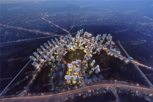 前海明珠属于哪个社区