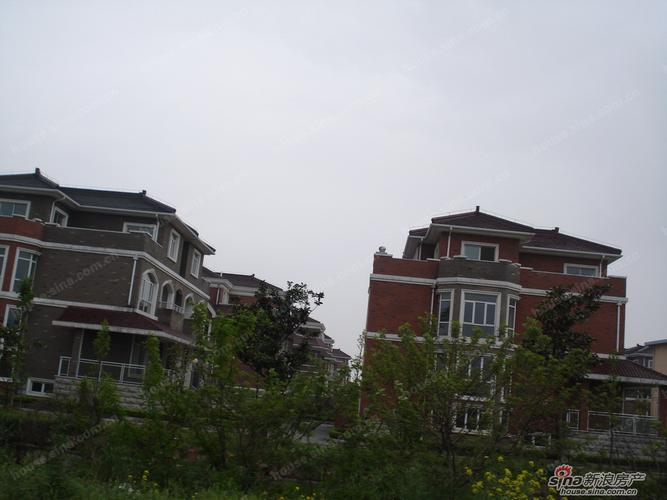 清扬康臣属于什么社区