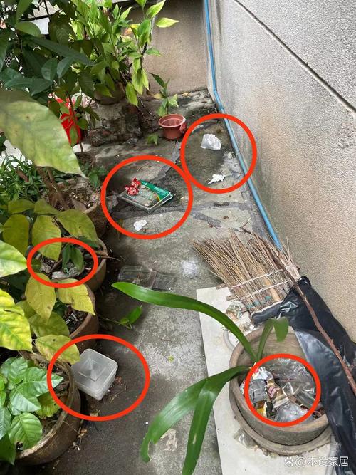 南湖国际社区遗留问题