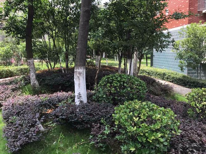 蔡甸南湖社区房子属于