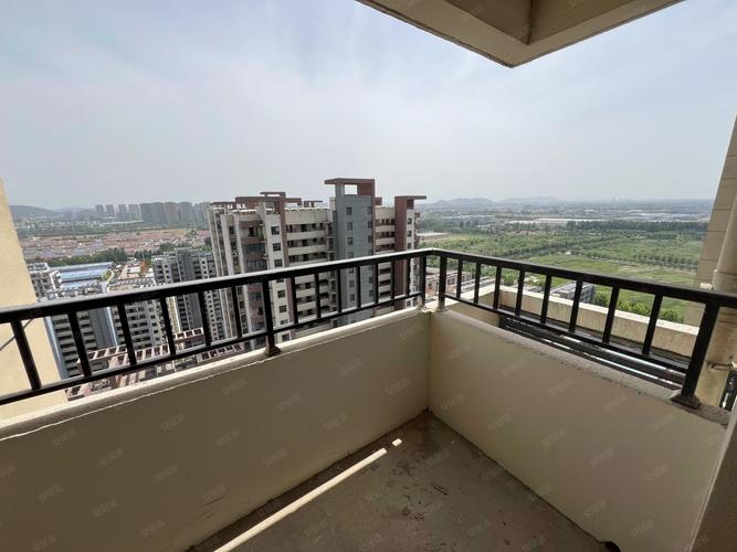 鱼先生的社区价格多少