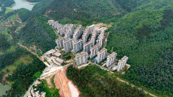 鱼先生的社区价格多少