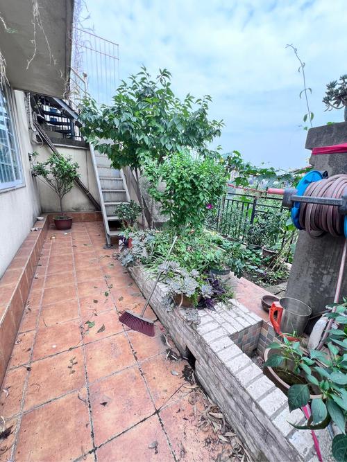 上林西江国际社区电话