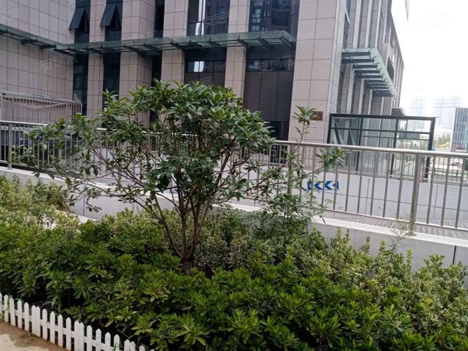 合肥安通缘梦二手房价格