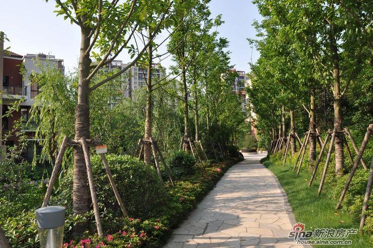 沈阳太湖国际社区电话