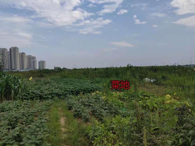 肥西卫星社区房价多少