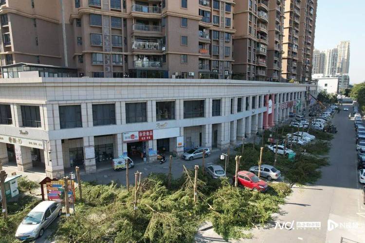 中山市石岐区迎阳社区