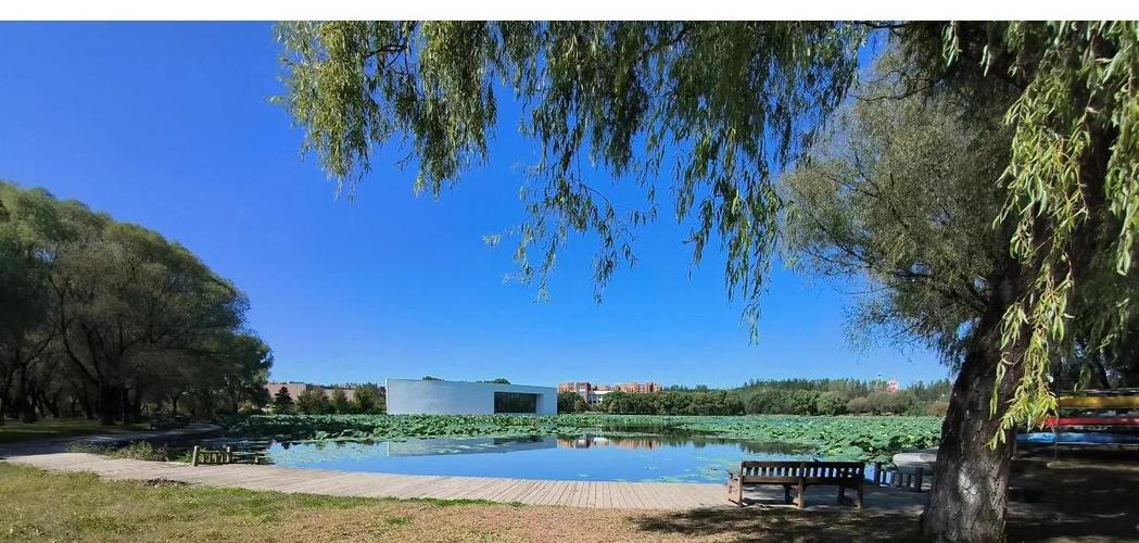 沈阳市和平区社区学院