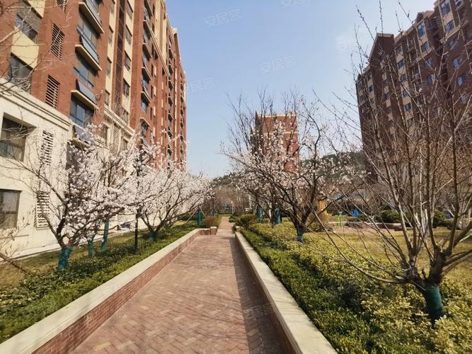 中海国际社区紫御公馆