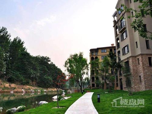 思念果岭国际社区租房