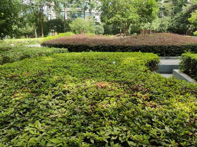 绿色时光花园租房信息