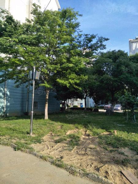 绿色时光花园租房信息