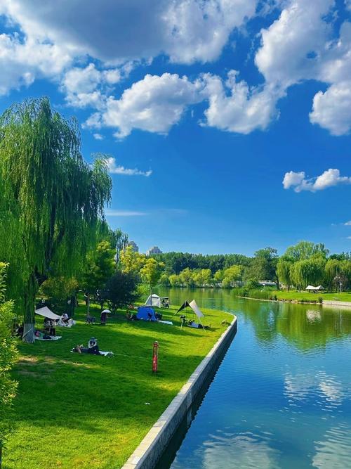 北京 朝阳公园 社区