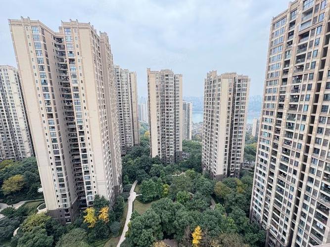 南岸区弹子石国际社区