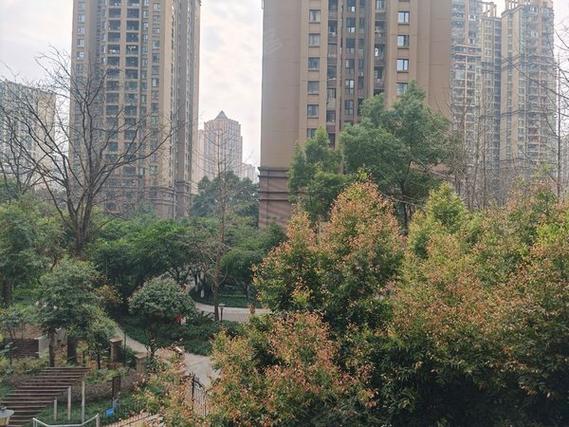 南岸区弹子石国际社区