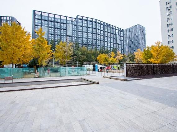 苹果社区 公司 北京