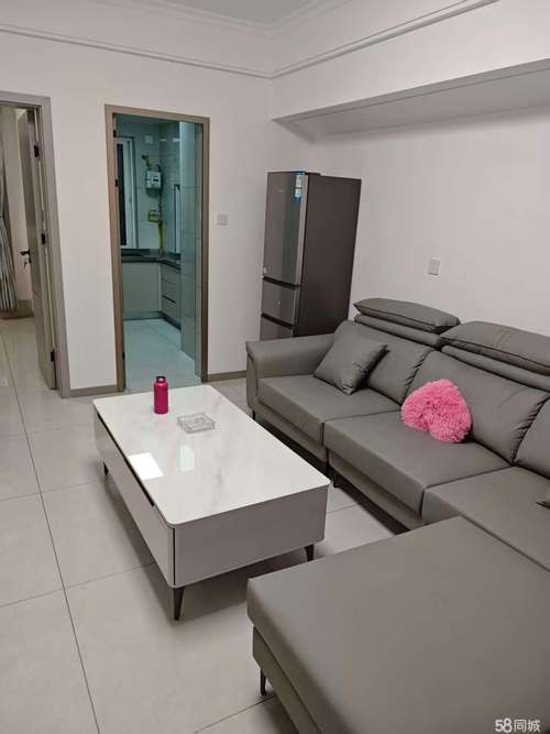 东仪路苹果城二手房价格