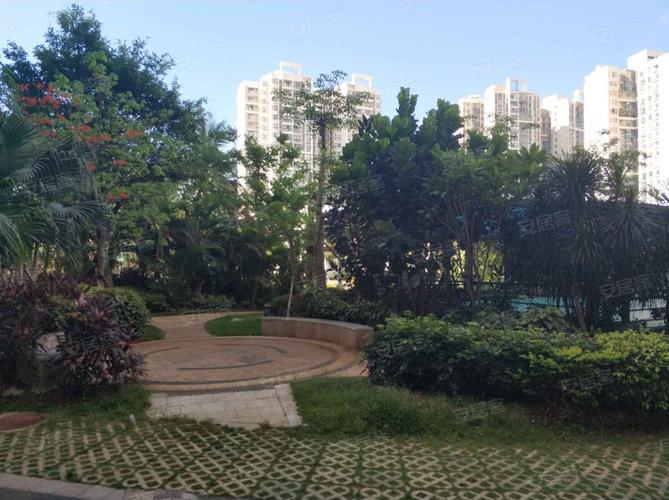 海口碧海金城租房信息