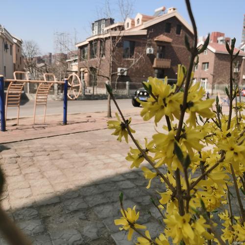 沈阳中华园社区电话