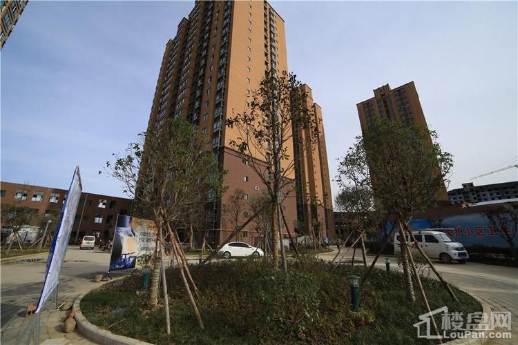 光辉社区B区 交通