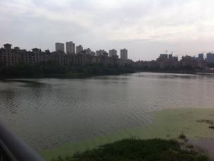 水墨清华是哪个社区