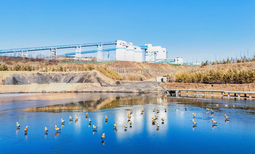 沈阳永丰社区矿山场