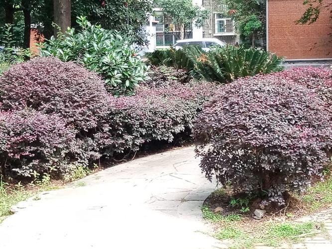 锦绣龙城 南湖社区