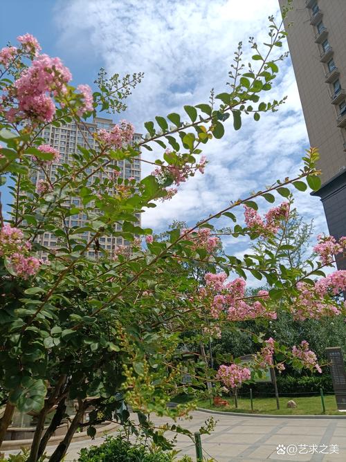 武汉027社区小美