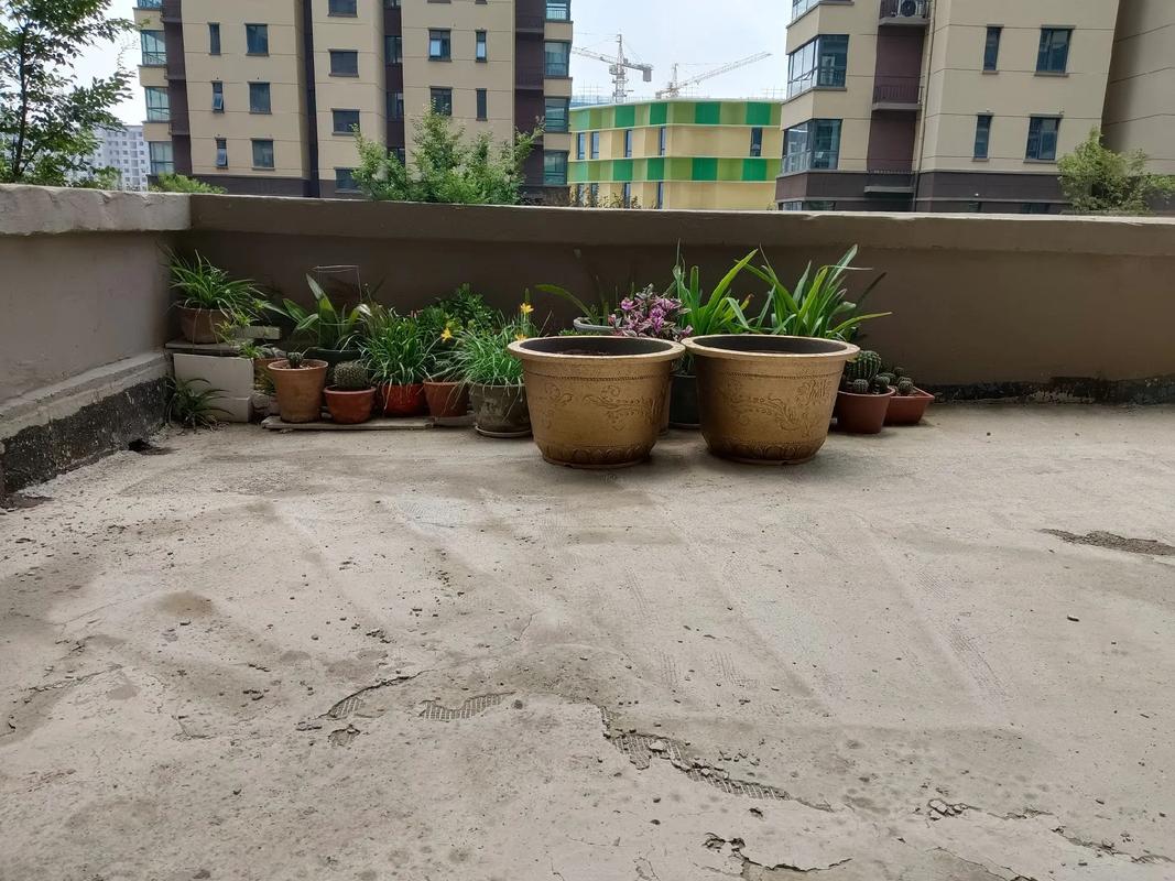 鹤壁淇滨区东方社区